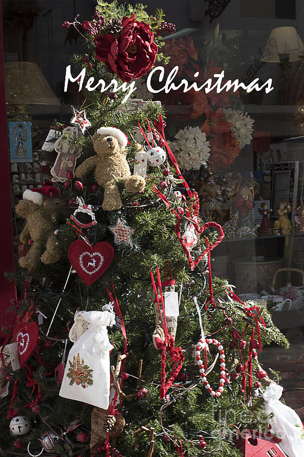Merry Christmas Teddy Tree Photograph by Brenda Kean