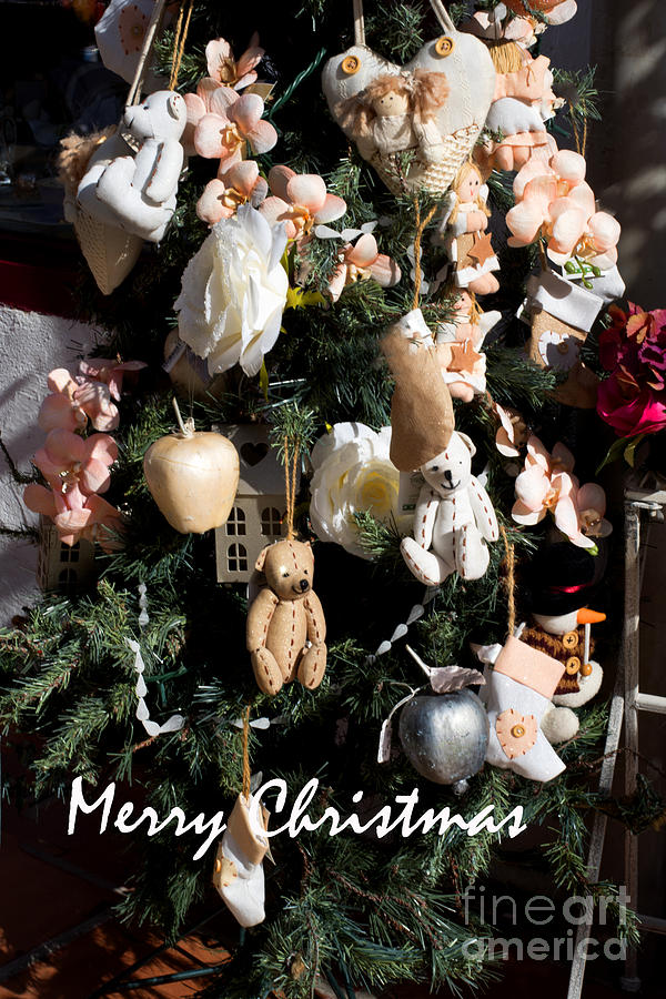 Merry Christmas Time Photograph by Brenda Kean