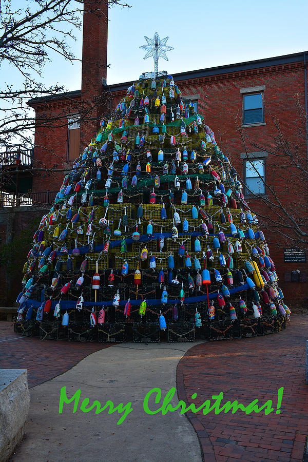 Merry Christmas Tree Photograph by Mike Martin