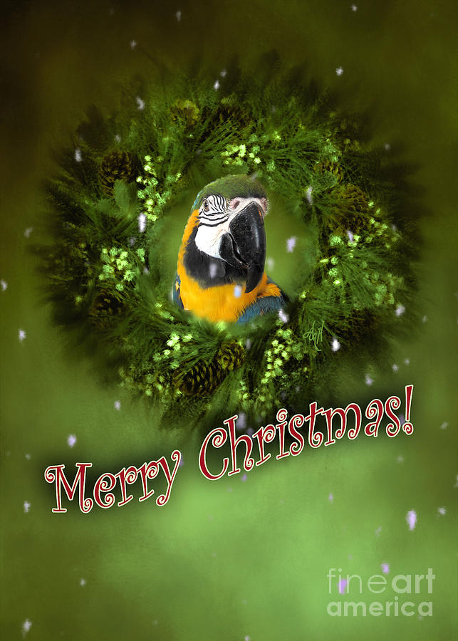 Merry Christmas with Parrot Digital Art by Victoria Harrington