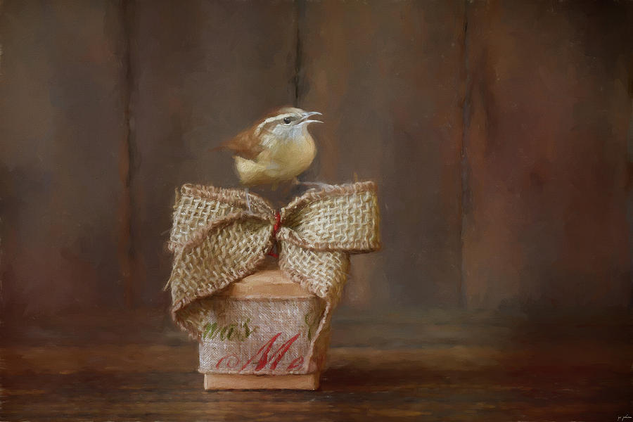 Bird Photograph - Merry Country Christmas by Jai Johnson