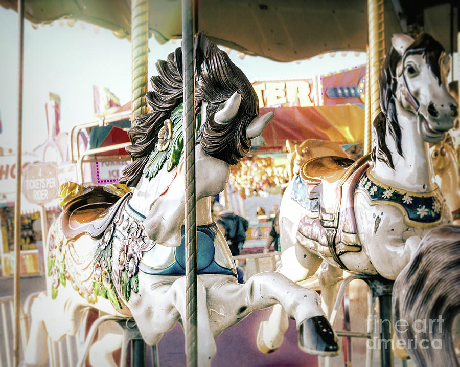 Merry-go-round  Photograph by Andrea Anderegg