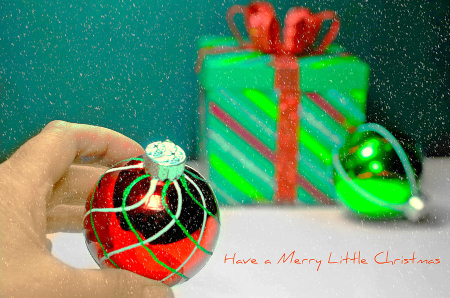 Merry Little Christmas Photograph by Diana Angstadt