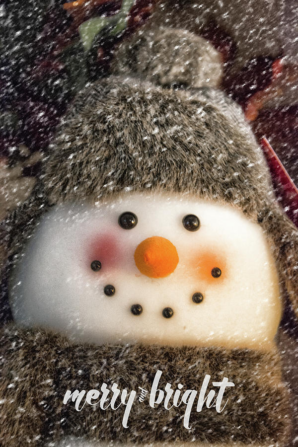 Merry Snowman Photograph by Pamela Williams