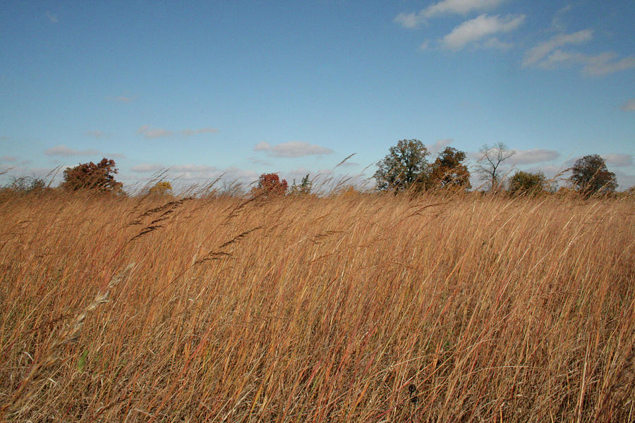 Unique Photograph - Merwin Prairie Autumn II by Dylan Punke Unique Photograph - Merwin Prairie Autumn II by Dylan Punke