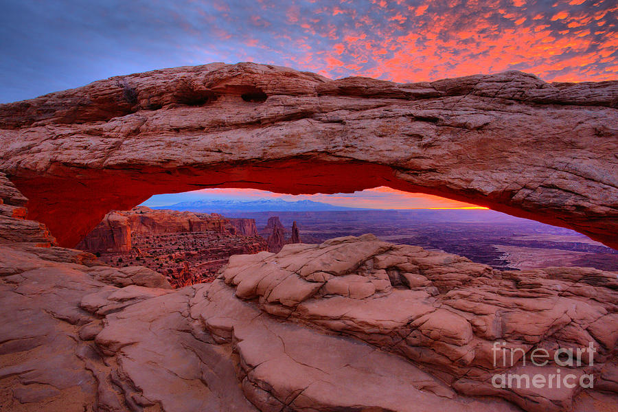 Mesa Arch On Fire Photograph by Adam Jewell