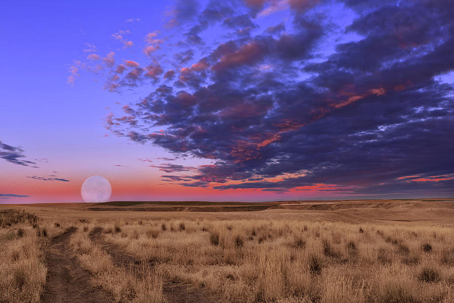 Mesa Moon Photograph by Kathleen Bishop