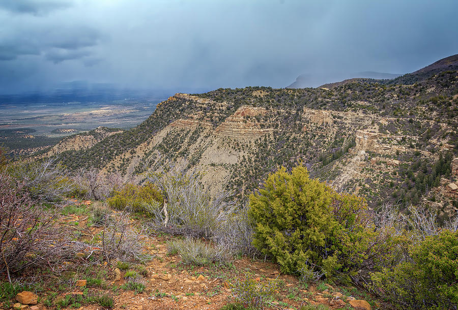 Mesa Verde National Park Colorado USA Photograph by Joan Carroll