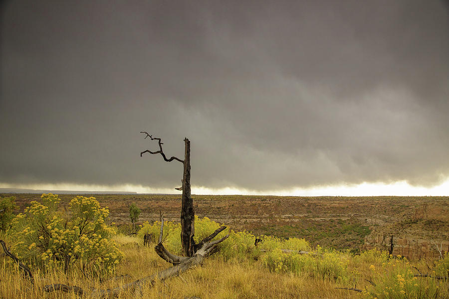 Mesa Verde storm Photograph by Kunal Mehra