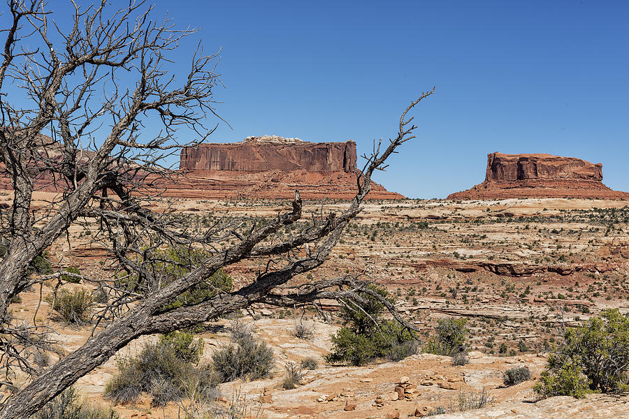 Mesas near Moab Photograph by Belinda Greb