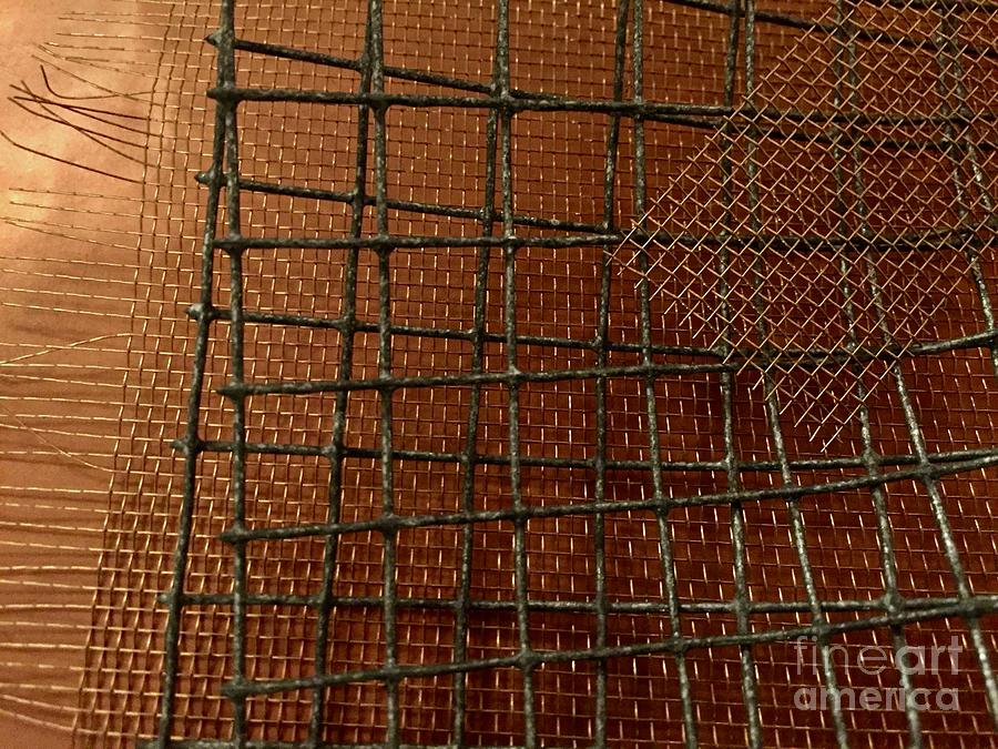 Mesh and Copper Series 1-1 Photograph by J Doyne Miller