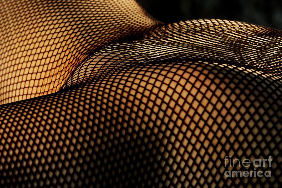 Nude Photograph - Meshed curves by Robert WK Clark