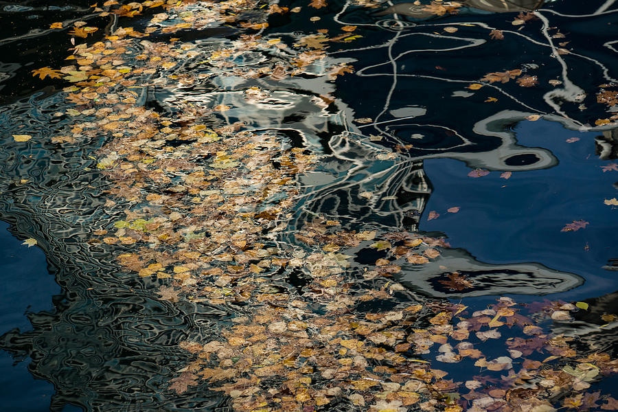 Mesmerizing Autumn - Silky Swirls and Fallen Leaves Five Photograph by Georgia Mizuleva