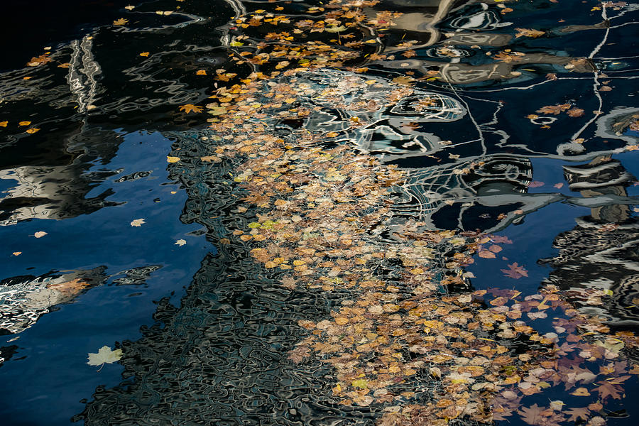 Mesmerizing Autumn - Silky Swirls and Fallen Leaves Four Photograph by Georgia Mizuleva
