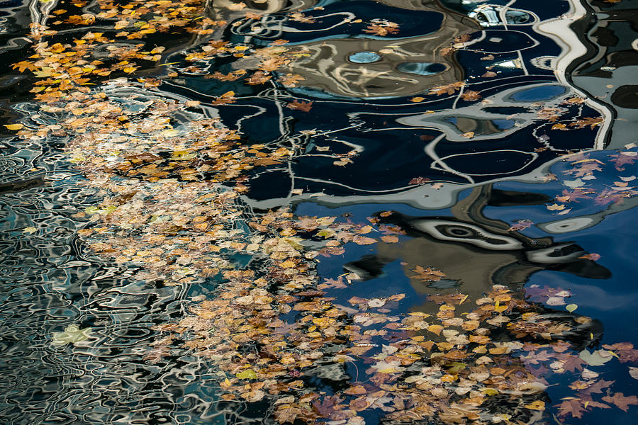 Mesmerizing Autumn - Silky Swirls and Fallen Leaves Three Photograph by Georgia Mizuleva