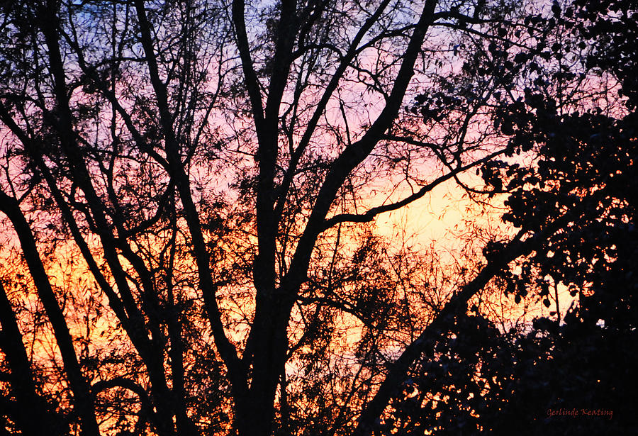 Mesmerizing Sunset Photograph by Gerlinde Keating