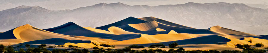 Mesquite Dunes Photograph by Albert Seger