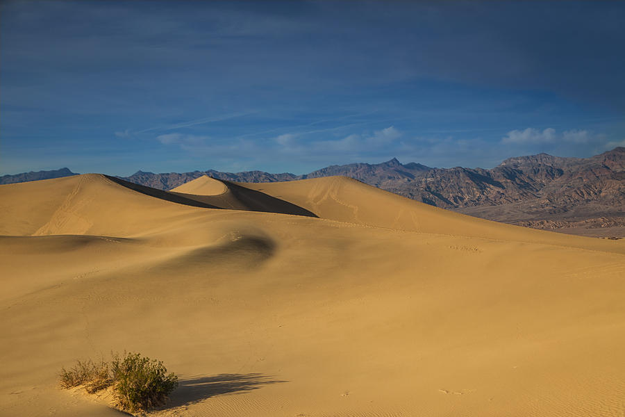 Mesquite dunes at sunset Photograph by Kunal Mehra