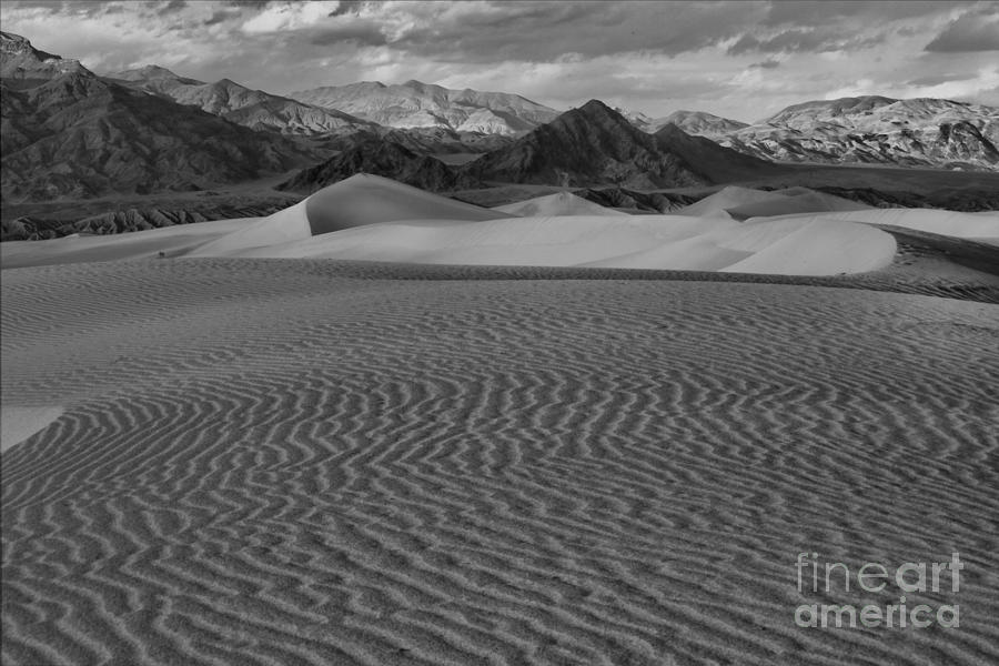 Death Valley National Park Photograph - Mesquite Dunes Black And White by Adam Jewell