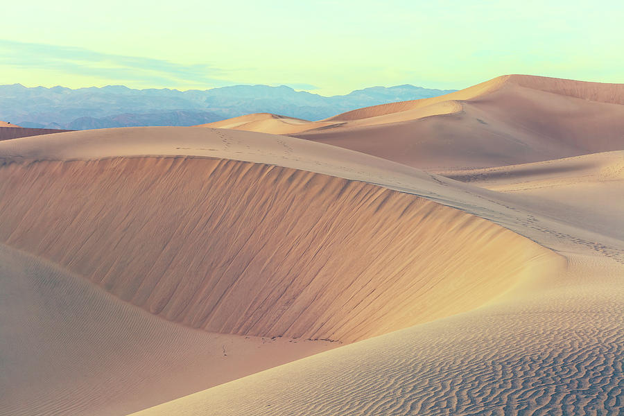 Mesquite Dunes Photograph by Jonathan Nguyen