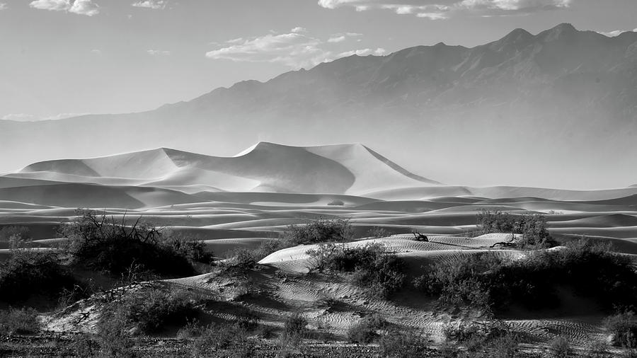 Mesquite Dunes Photograph by Norberto Nunes