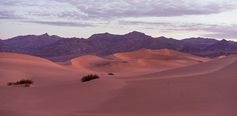 Mesquite Dunes Photograph by Scott Rackers