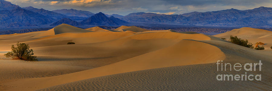Death Valley National Park Photograph - Mesquite Dunes Sunset Panorama by Adam Jewell