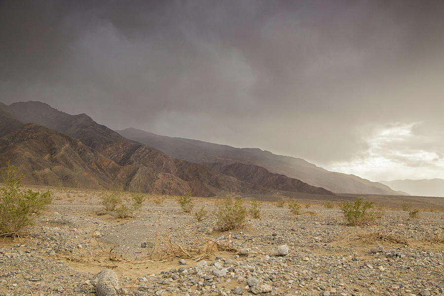 Mesquite dunes thunderstorm Photograph by Kunal Mehra