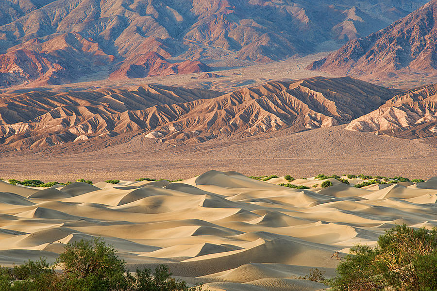 Mesquite Flat Sand Dunes - Death Valley Photograph by Dana Sohr