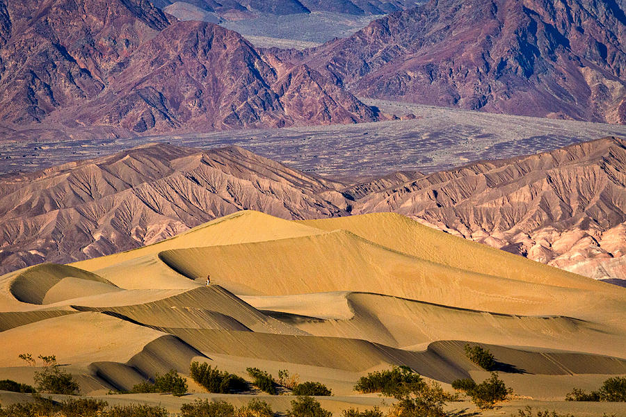 Nature Photograph - Mesquite Flat Sand Dunes - Death Valley by Stuart Litoff