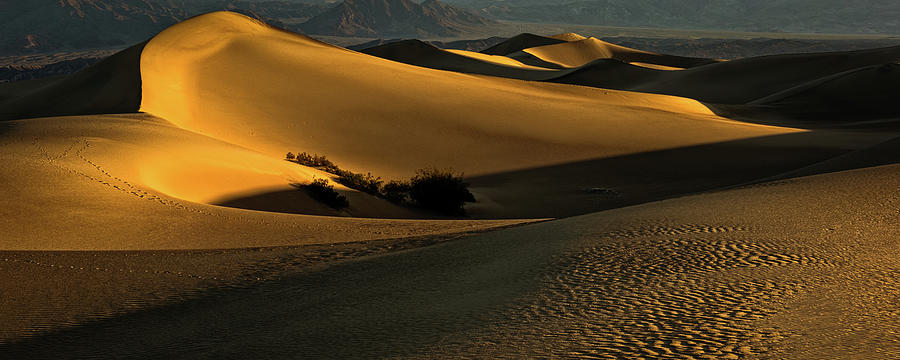 Mesquite Flat Sand Dunes Photograph by George Buxbaum