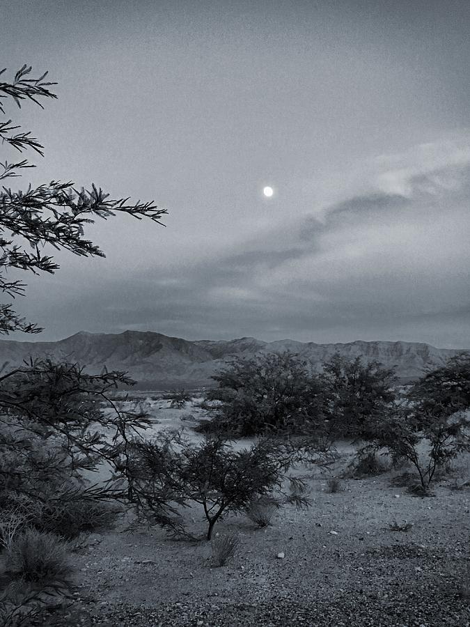 Mesquite Moonrise No. 1-2 Photograph by Sandy Taylor