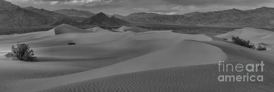 Death Valley National Park Photograph - Mesquite Sand Dunes Black And White Panorama by Adam Jewell