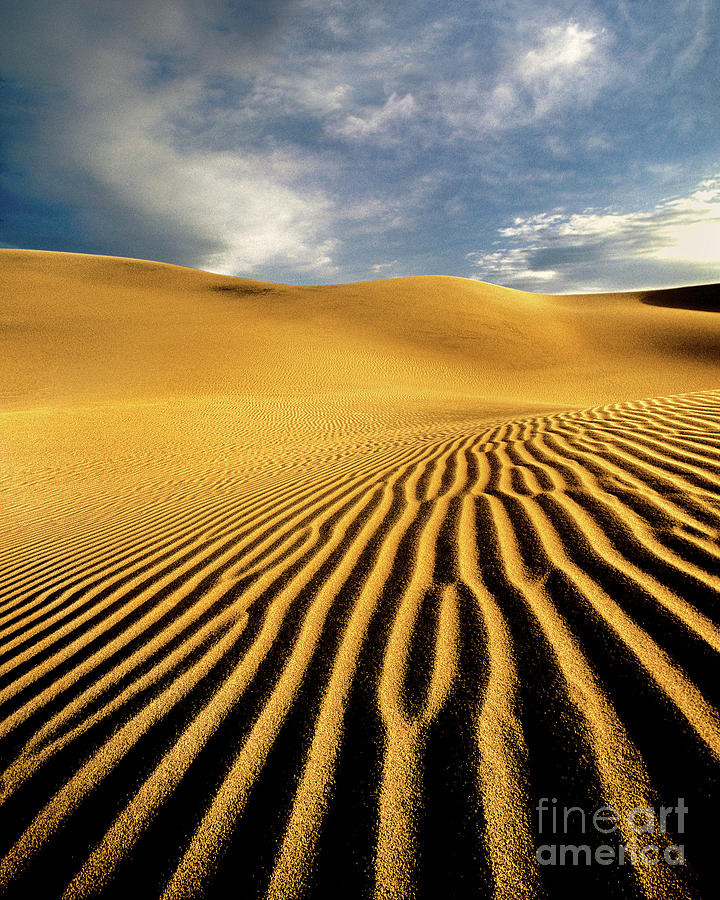 Mesquite Sand Dunes Death Valley California Photograph by Dave Welling