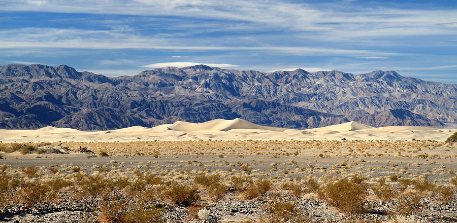 Mesquite Sand Dunes In Death Valley National Park Photograph By Pierre 