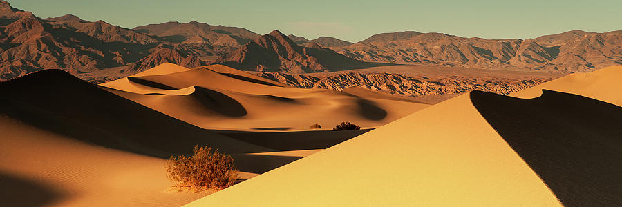 Golden Mesquite Sand Dunes Photograph by Naoki Aiba