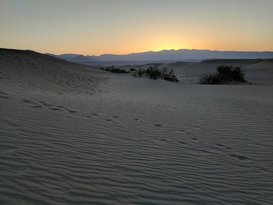 Mesquite Sand Dunes Sunrise  Photograph by William Slider