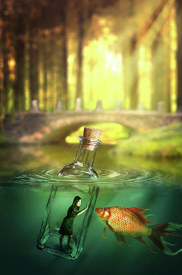 Message in a bottle Digital Art by Nathan Wright
