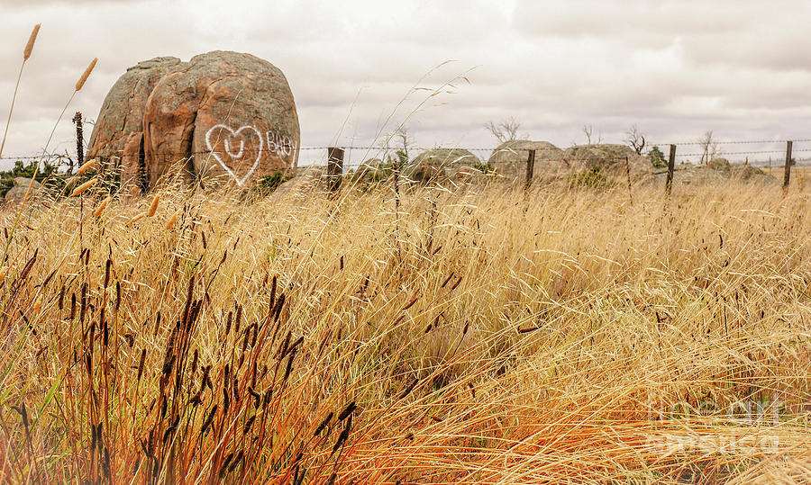 Message on a Rock, Rural Australia Photograph by Lexa Harpell