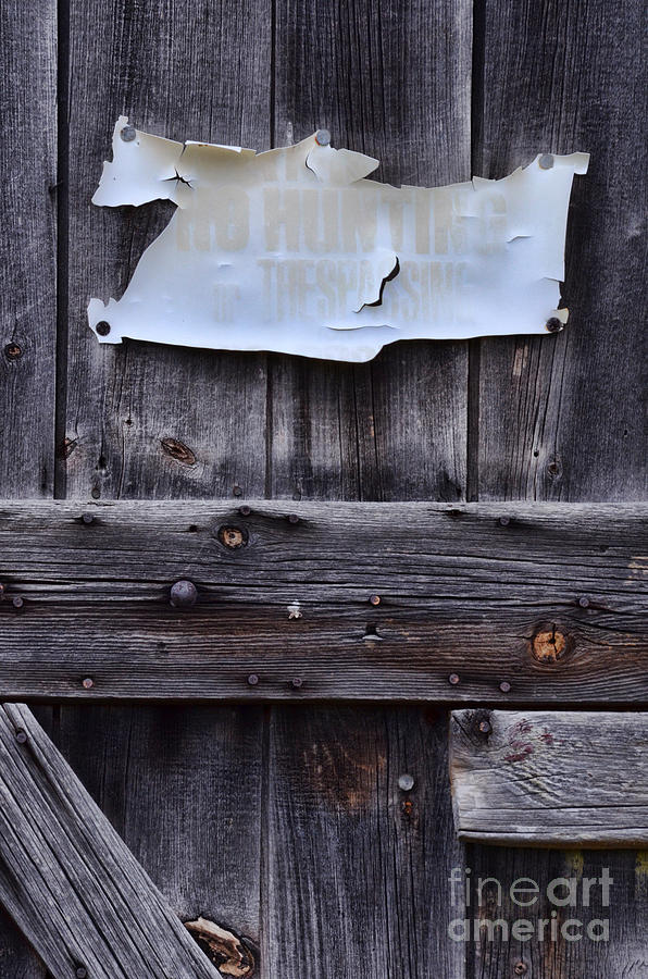 Message on Barn Door Photograph by Jill Battaglia