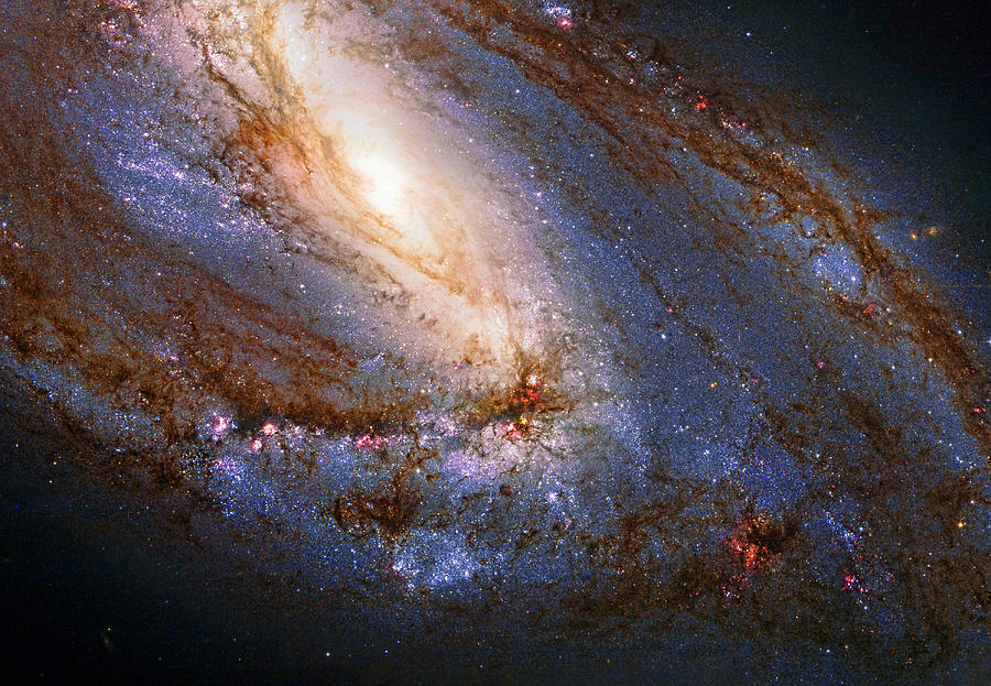 Messier 66 Galaxy Enhanced Photograph by Weston Westmoreland