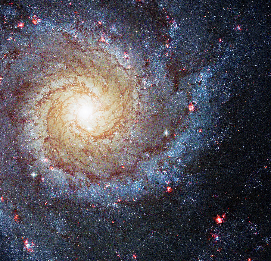 Messier 74 Galaxy Enhanced Photograph by Weston Westmoreland