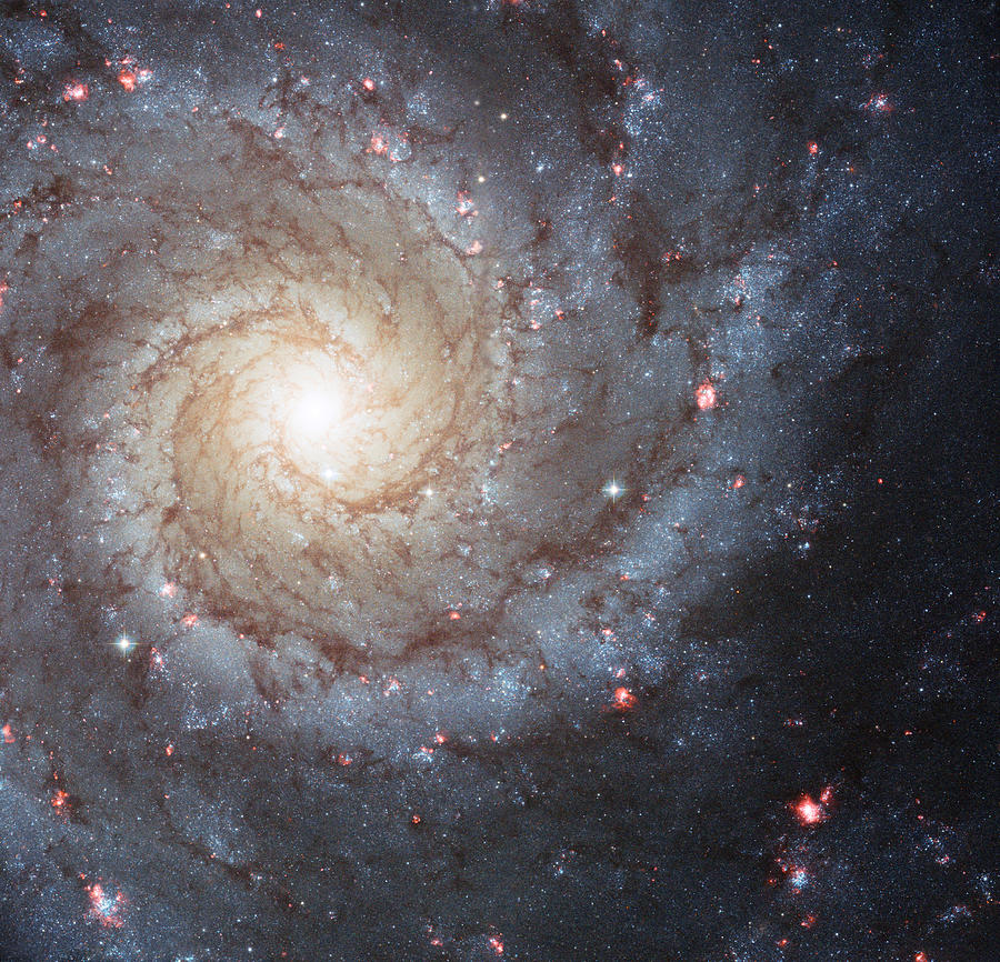 Space Photograph - Messier 74 by Space Art Pictures