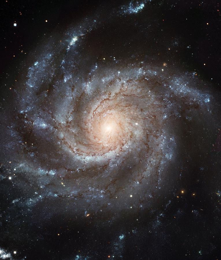 Messier 77 - Spiral Galaxy Photograph