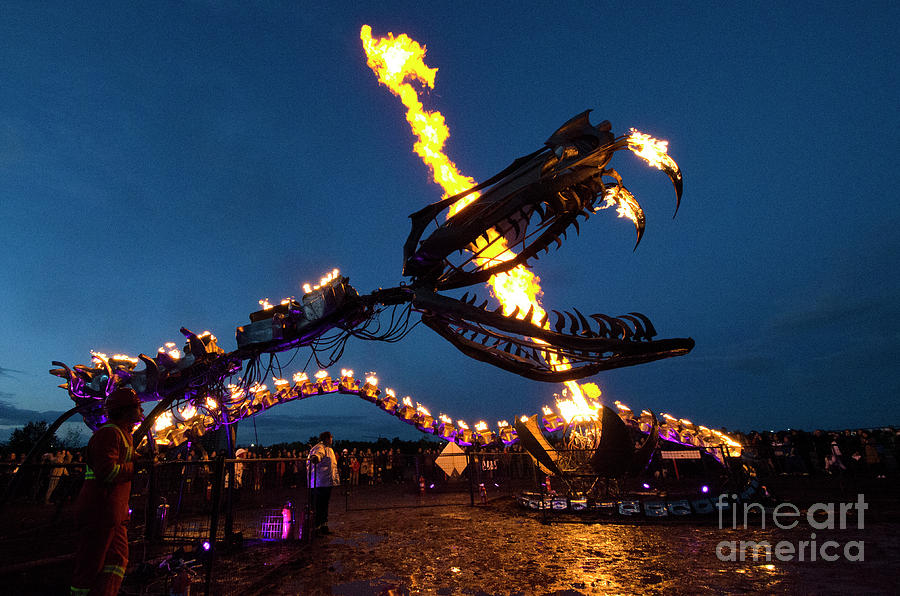 Snake Photograph - Metal And Fire 3 by Bob Christopher