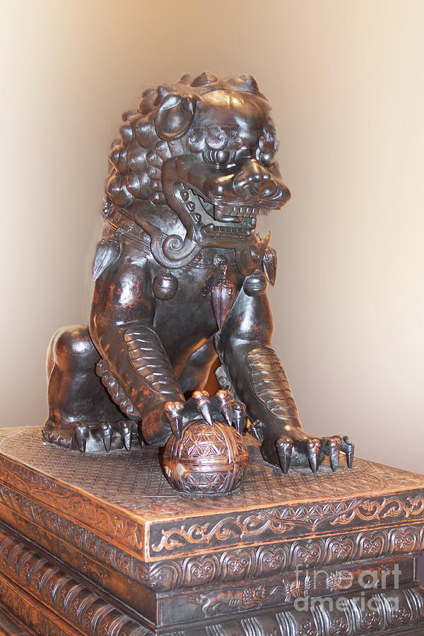 Metal Chinese Lion Photograph by Linda Phelps