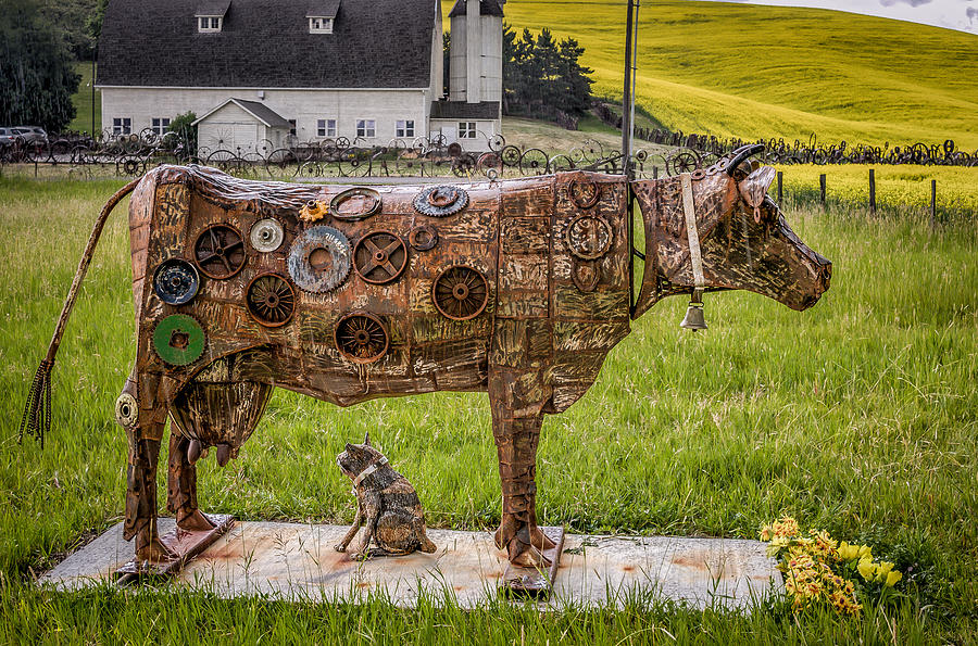 Metal Cow Sculpture in the Rain Photograph by Brad Stinson