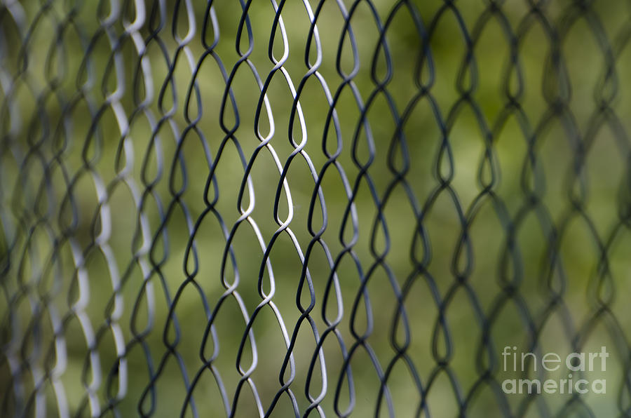 Metal fence Photograph by Mats Silvan