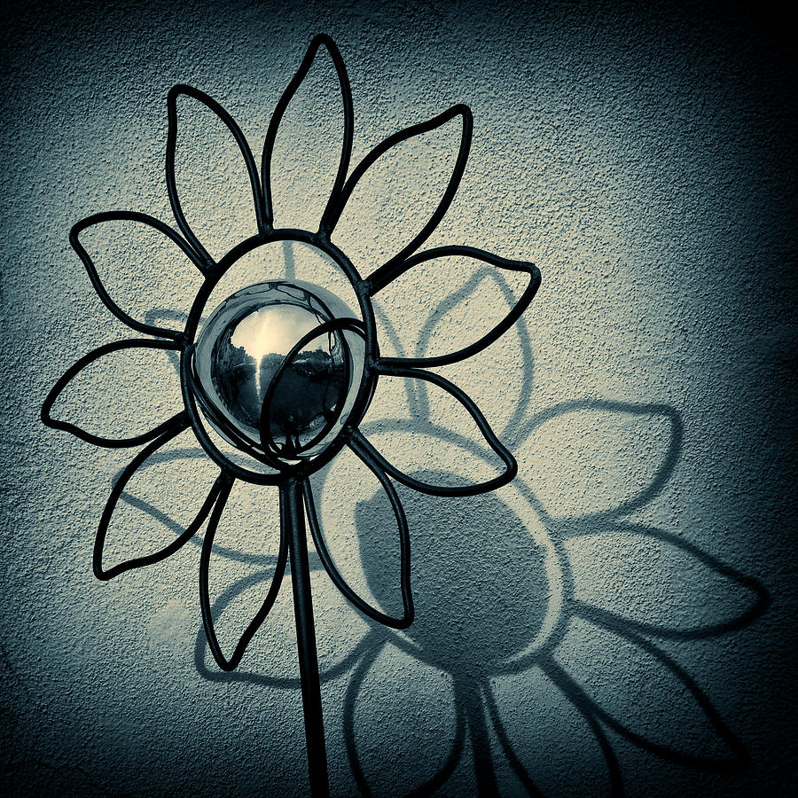 Sunflower Photograph - Metal Flower by Dave Bowman Sunflower Photograph - Metal Flower by Dave Bowman