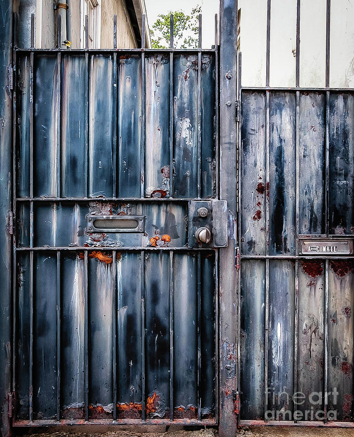 Metal Gates Photograph by Kathleen K Parker